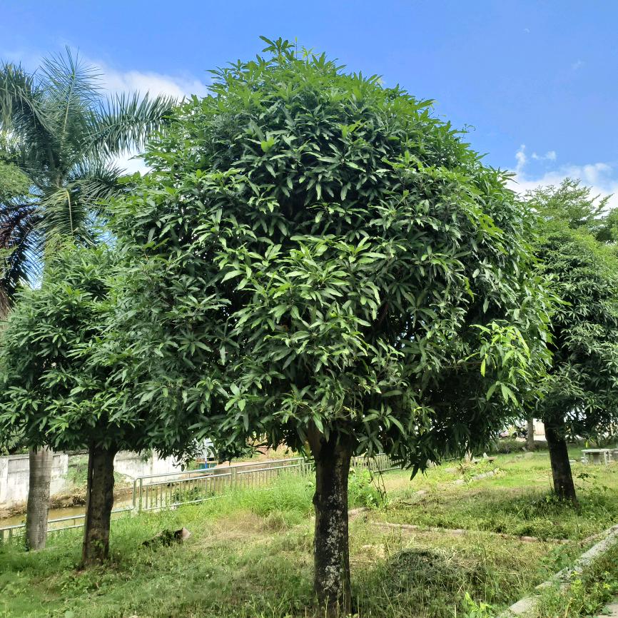 删除过去