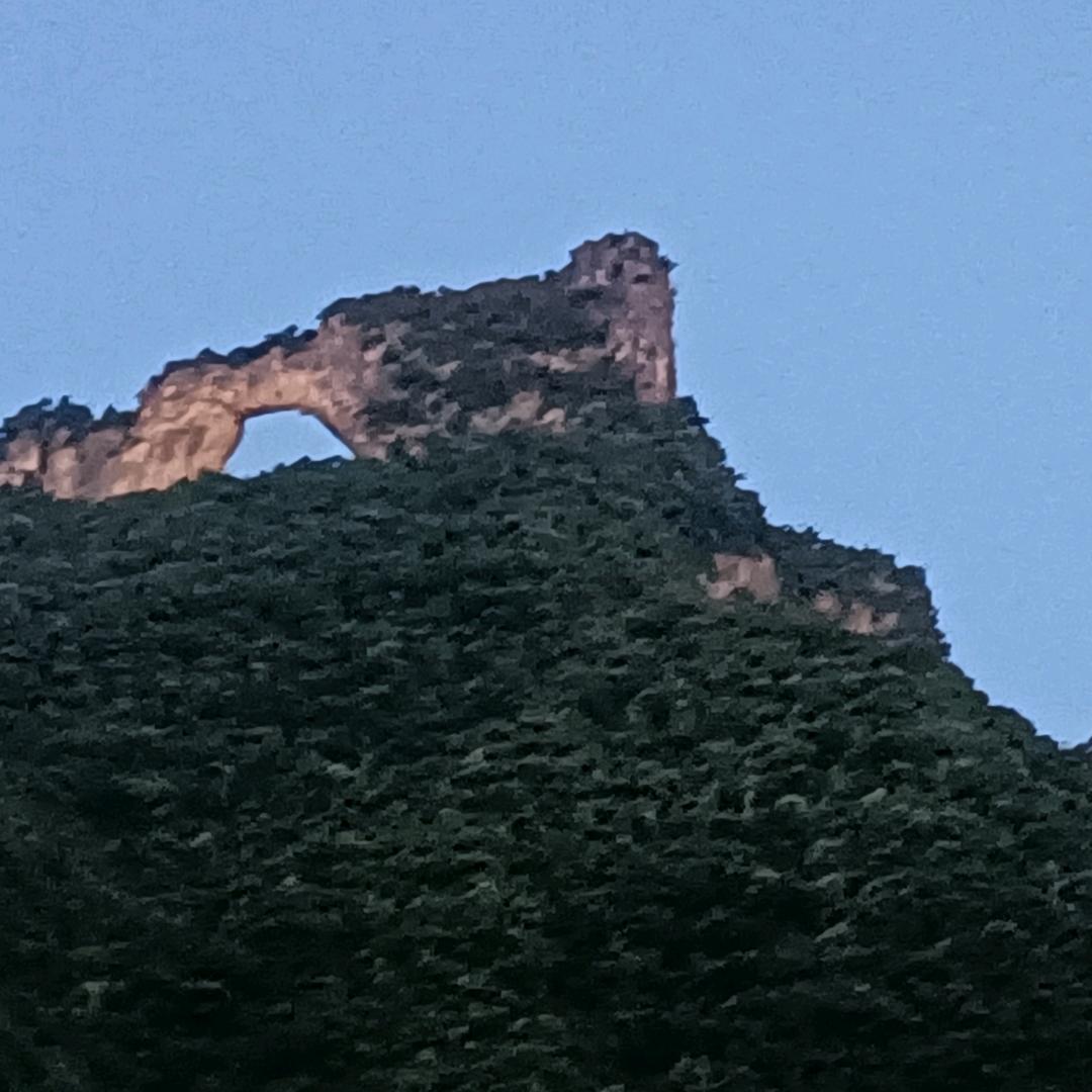 期待🍀🍀🌹🌹🌾🌾