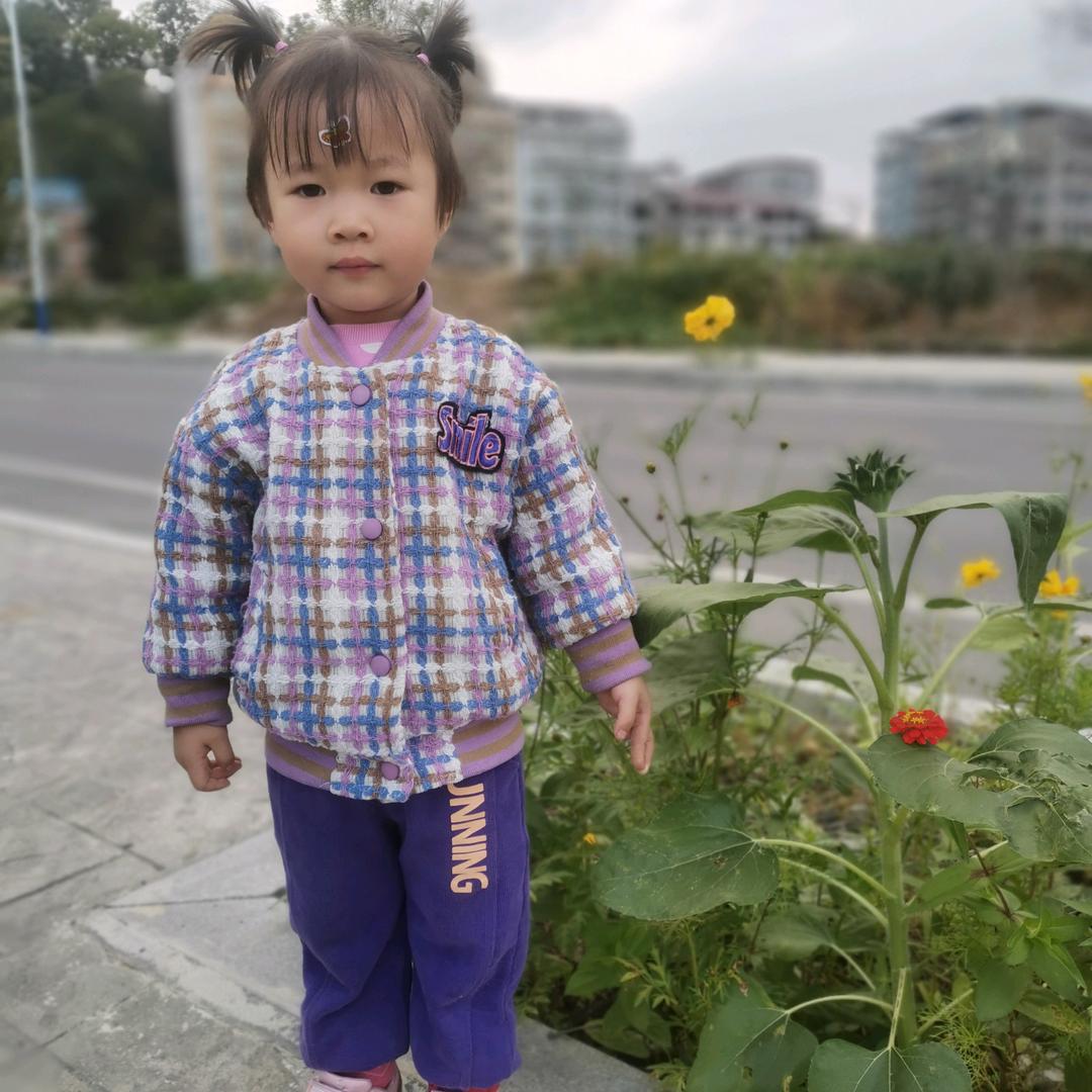 🌸的世界很精彩