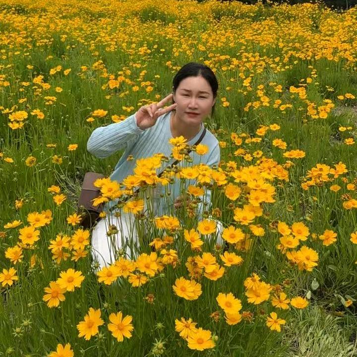 紫霞的生活日记