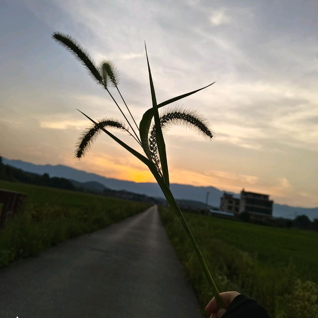 ~佳哥