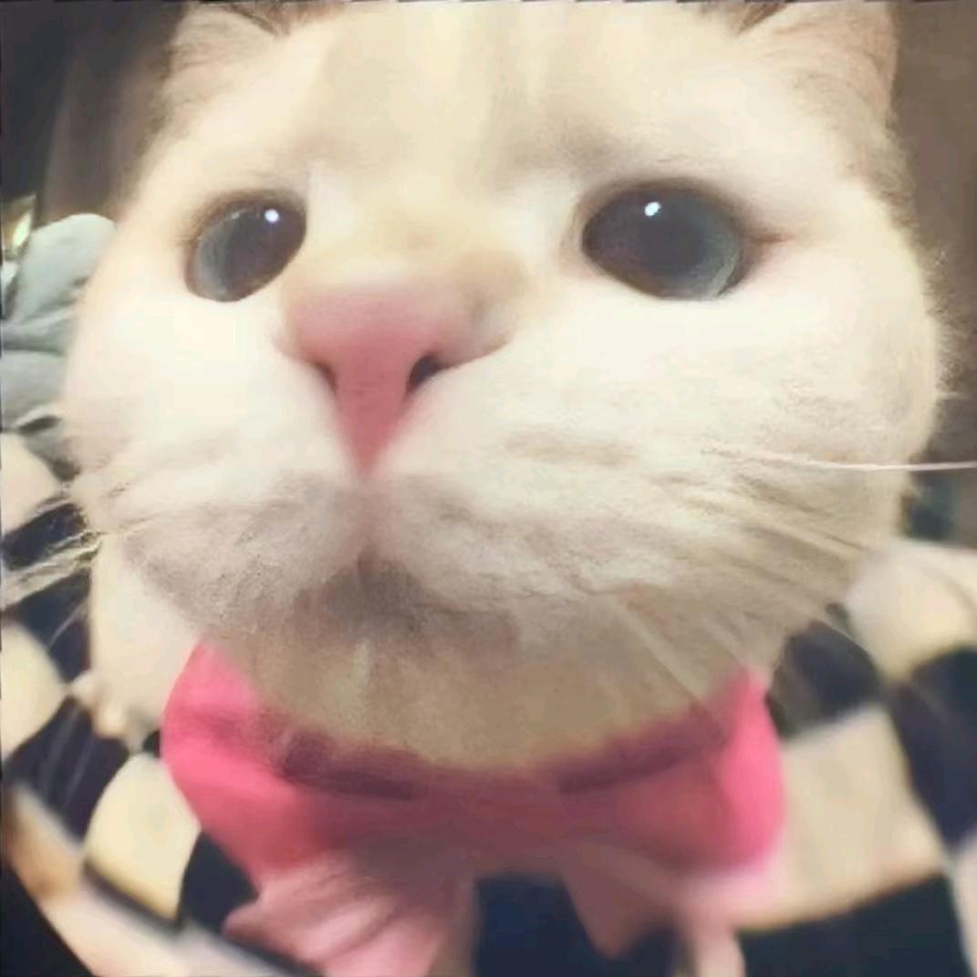 汤圆