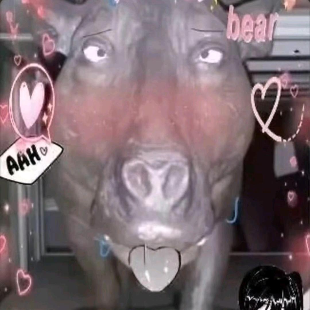 劲妻