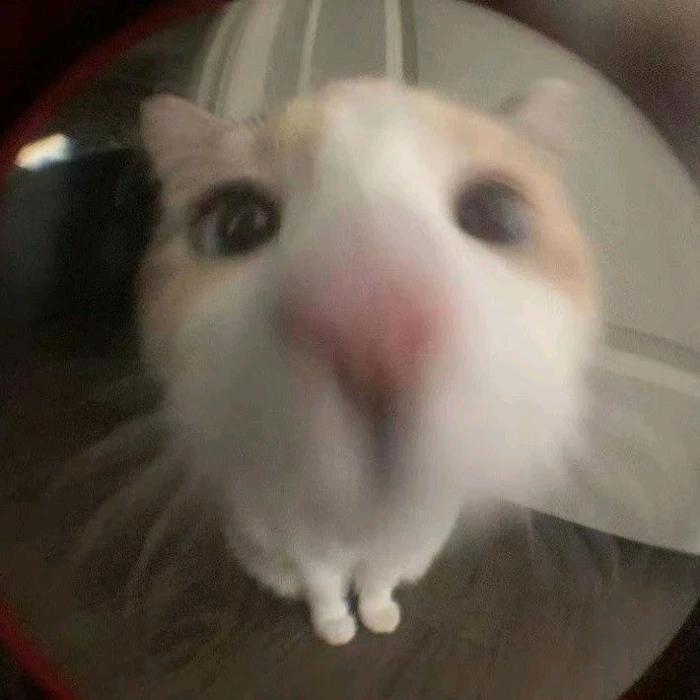 吾x7_