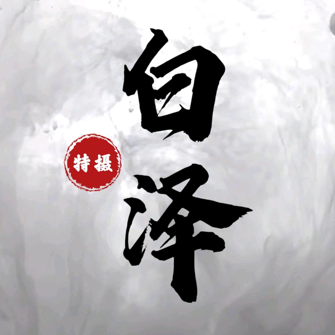 白泽特摄模玩