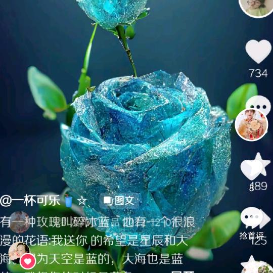 梦菊