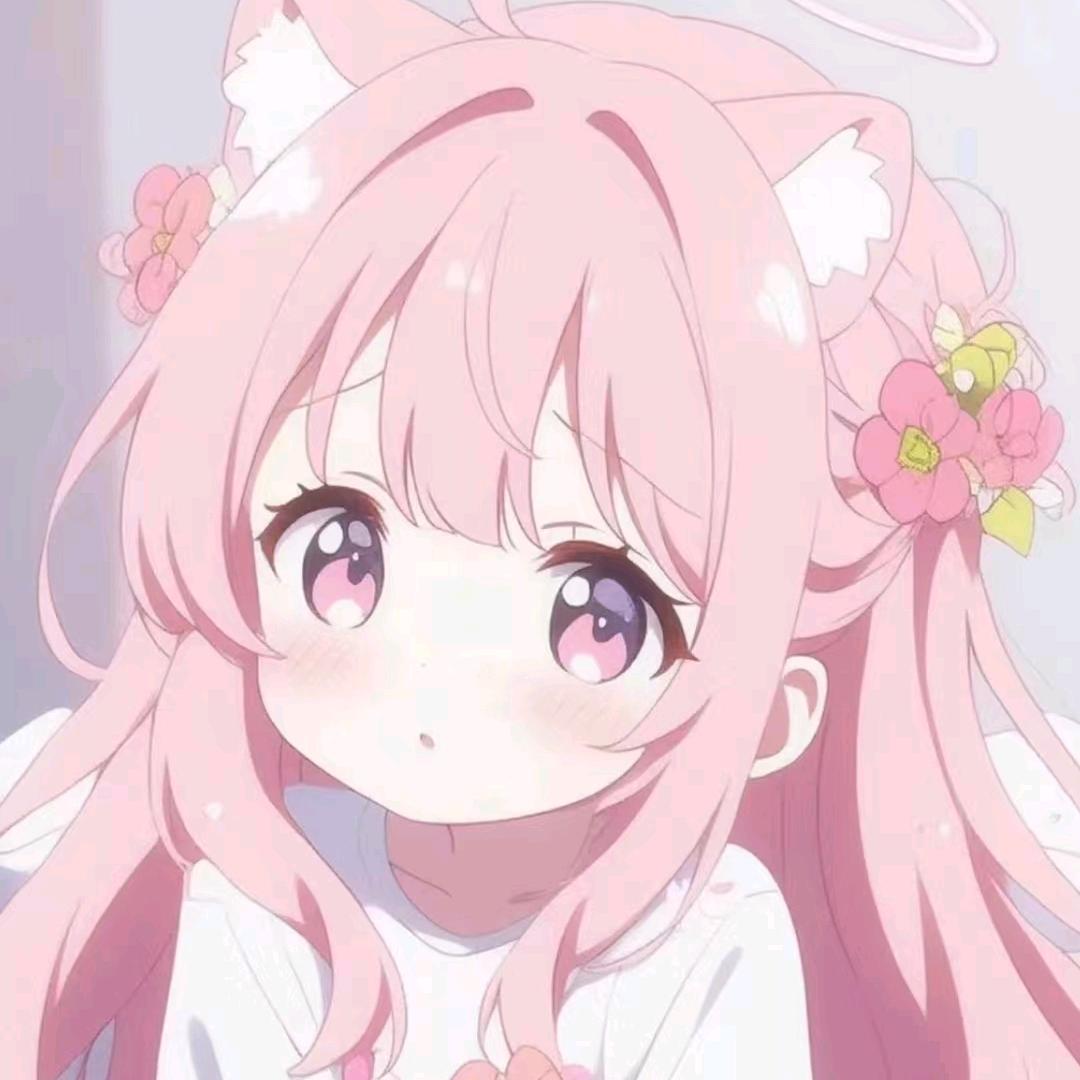 念念仙女🌸