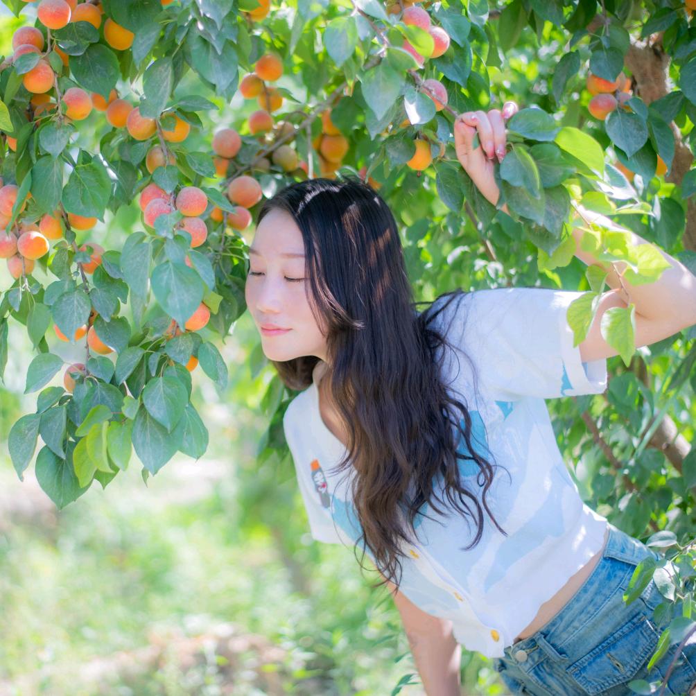 杨家鲜火锅食堂(绿城花苑店)官方号