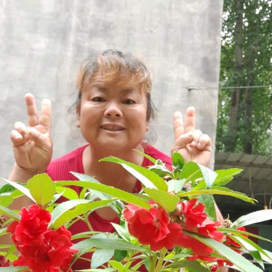 玲玉