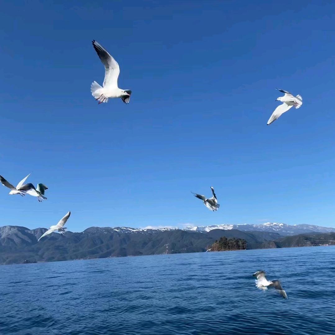 星火燎原818