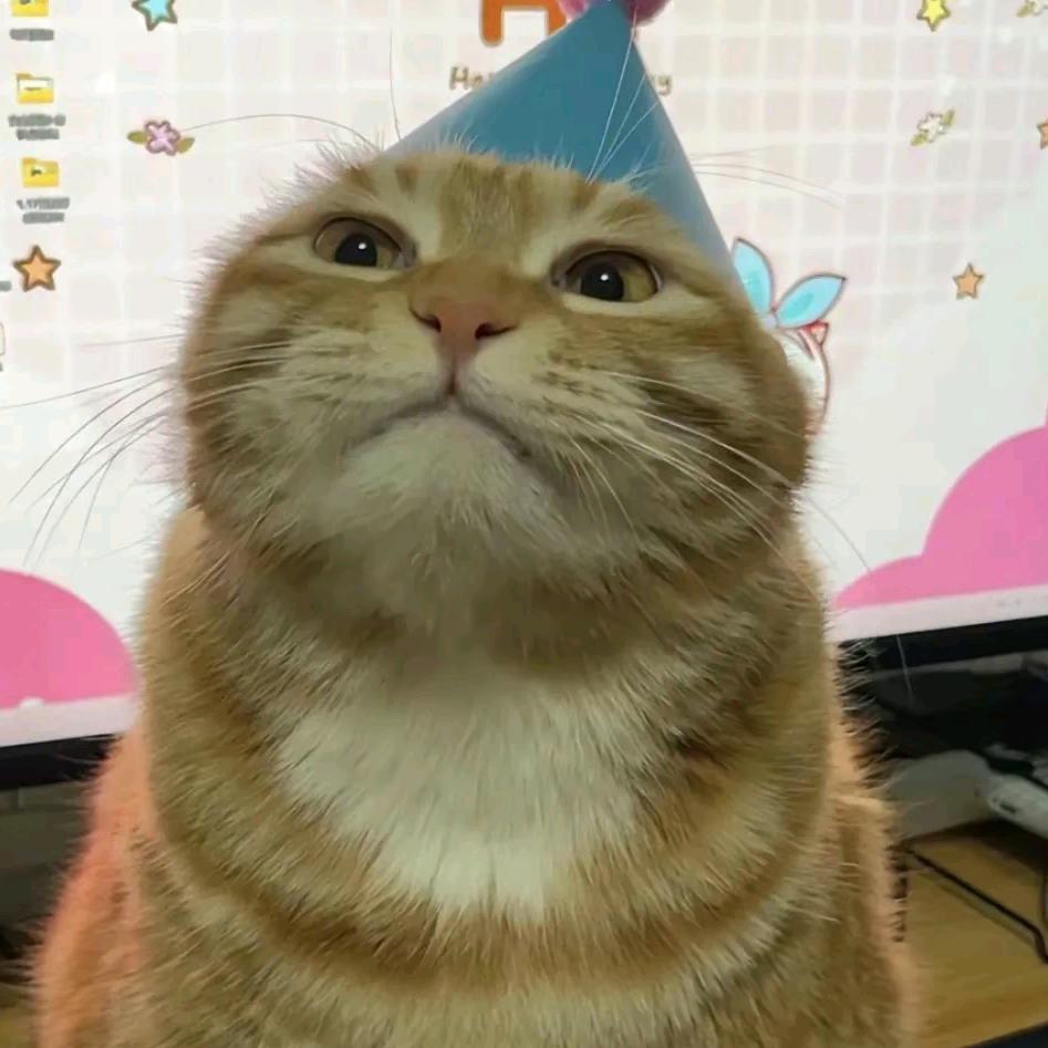 本人190(南宁第一内向版)