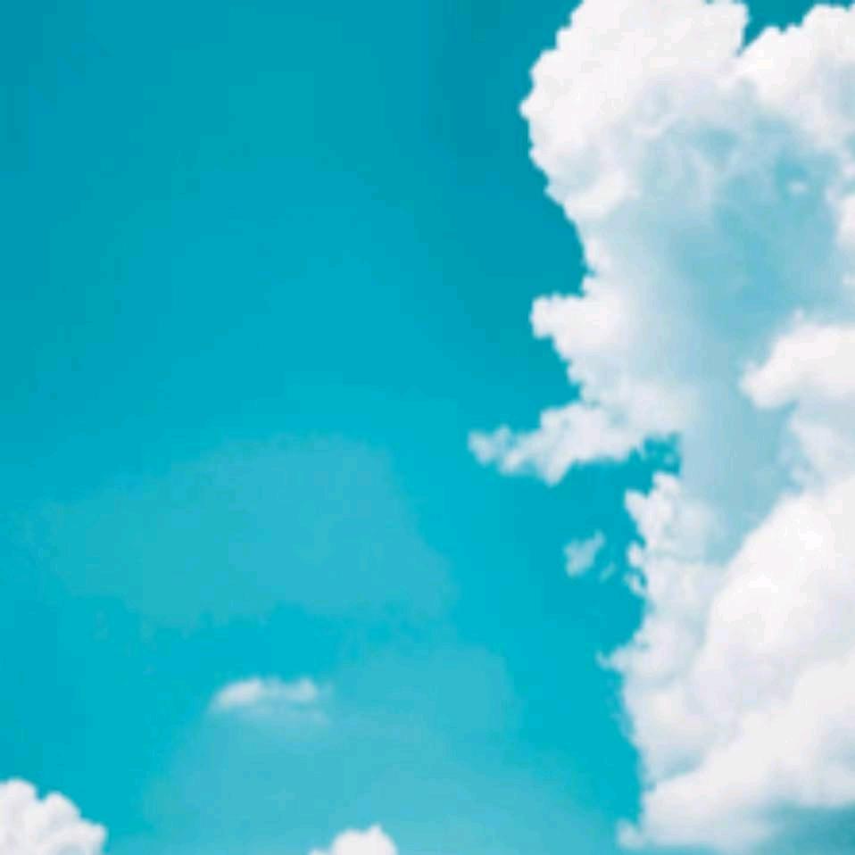 立智汇小周（免费介绍工作）