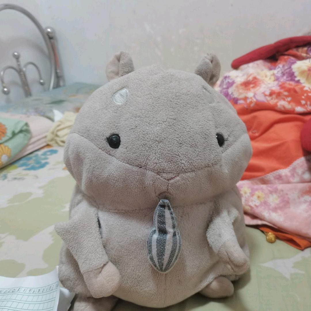 蛋仔主播