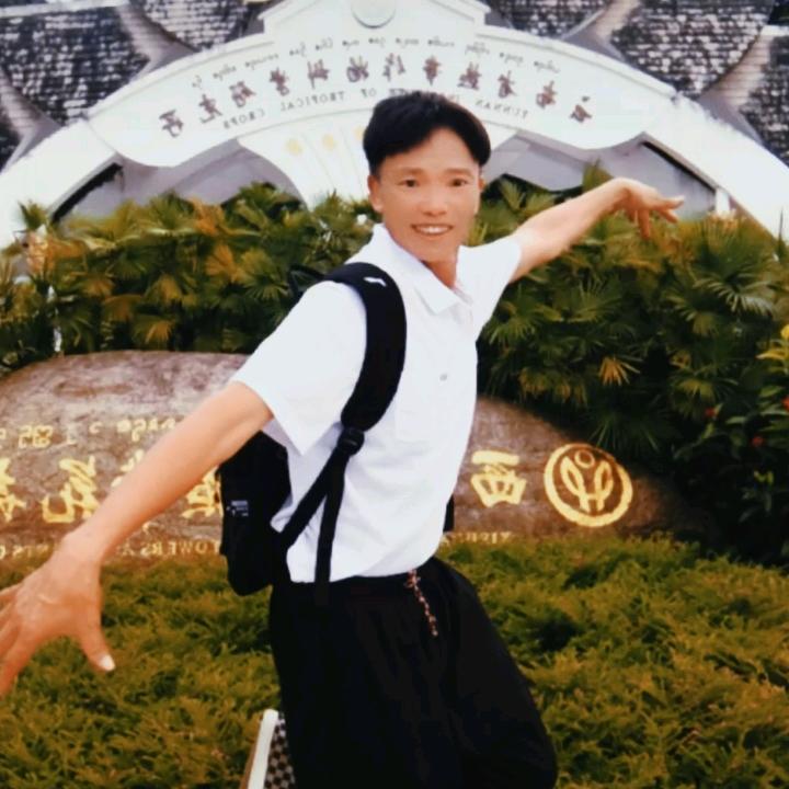 傻舞歌