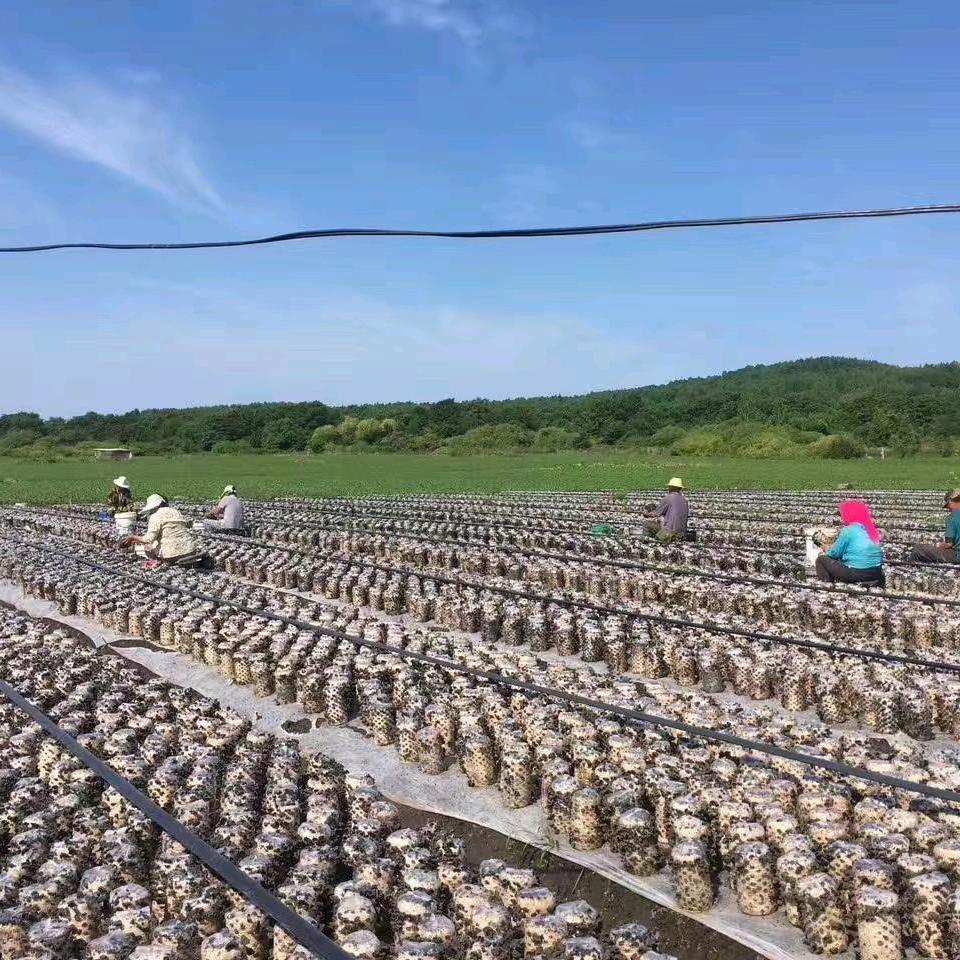 绥棱县老秦山产品店的小店
