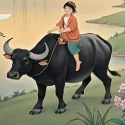 骑着牛看颜颜℡