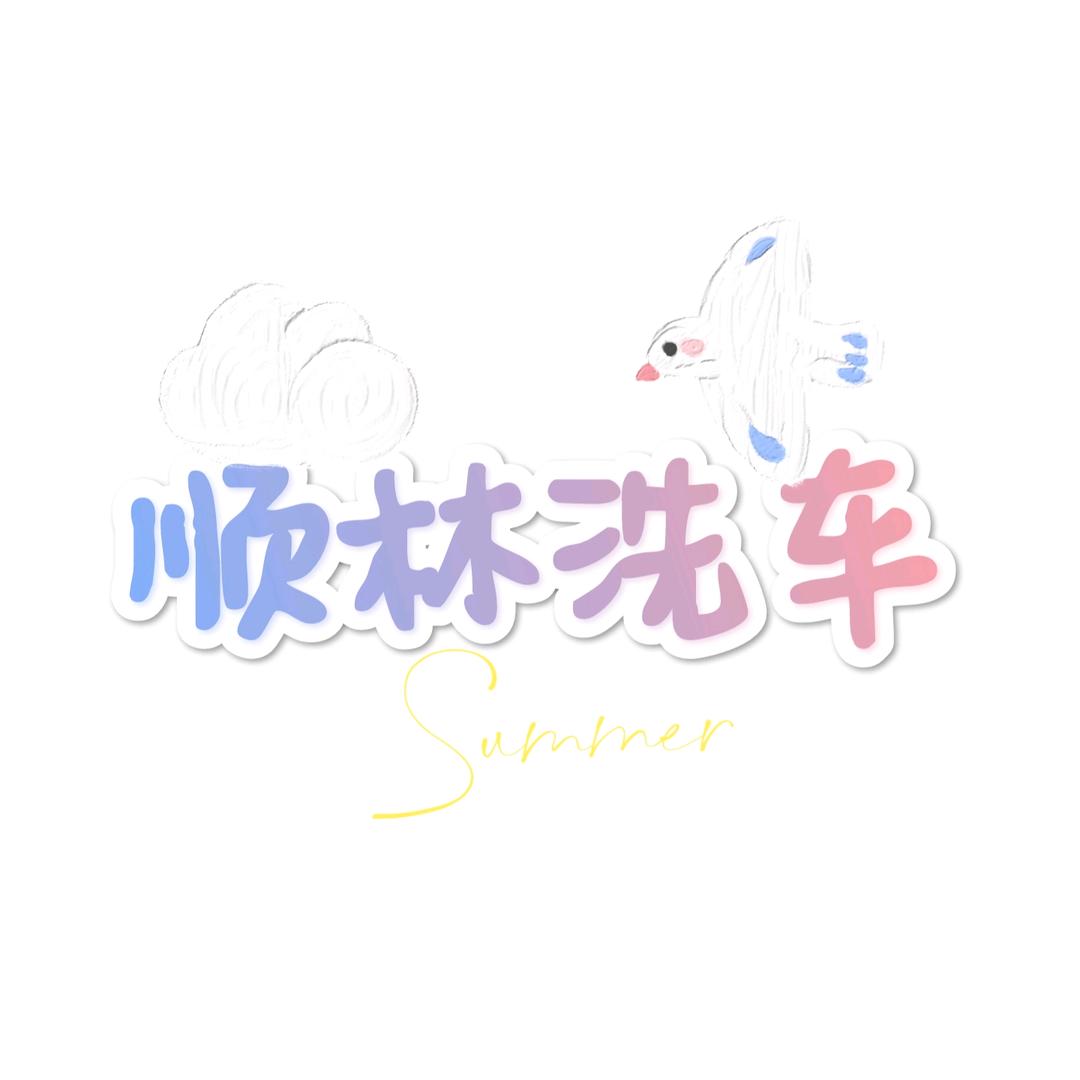 寻甸县顺林洗车店