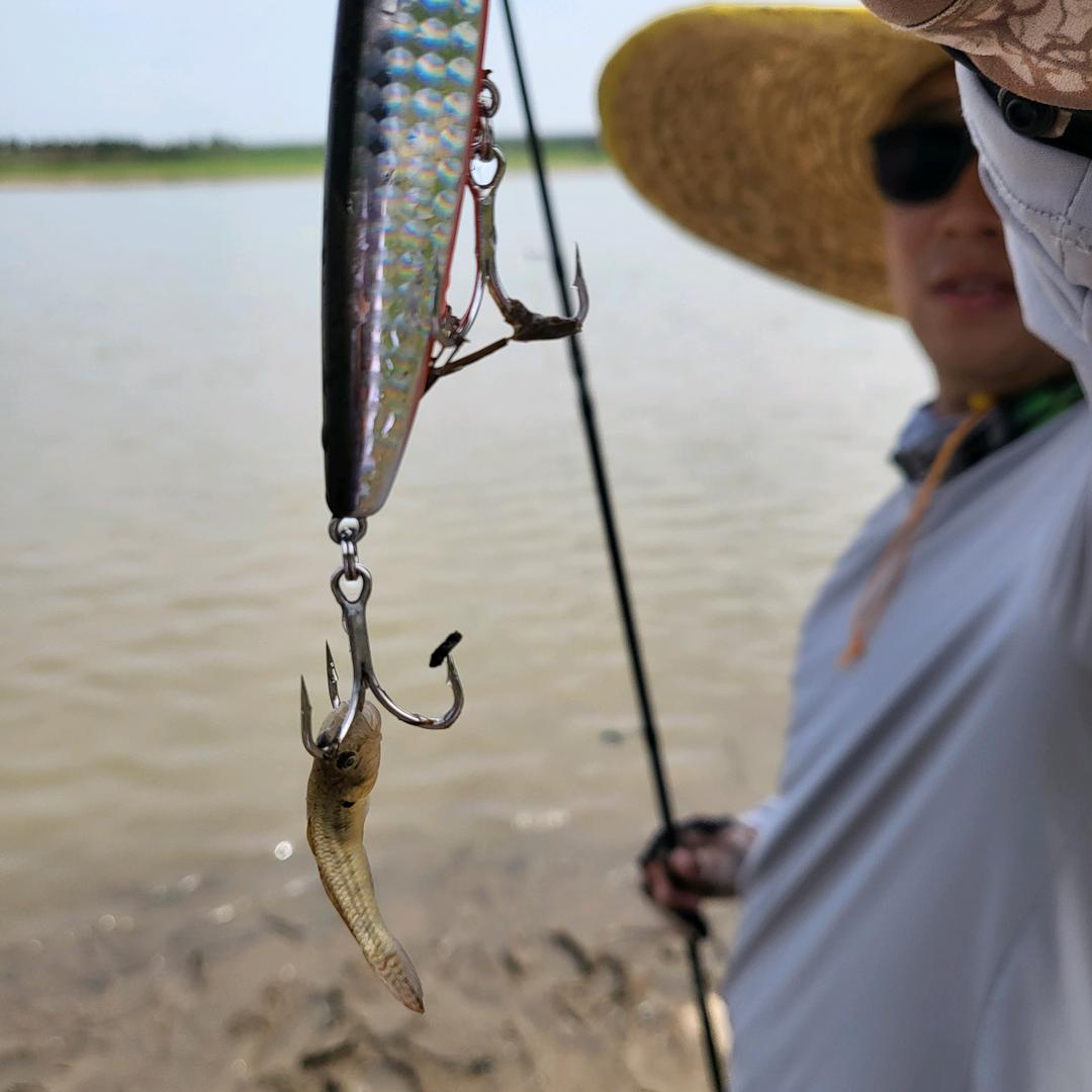 🎣树叶过河🎣
