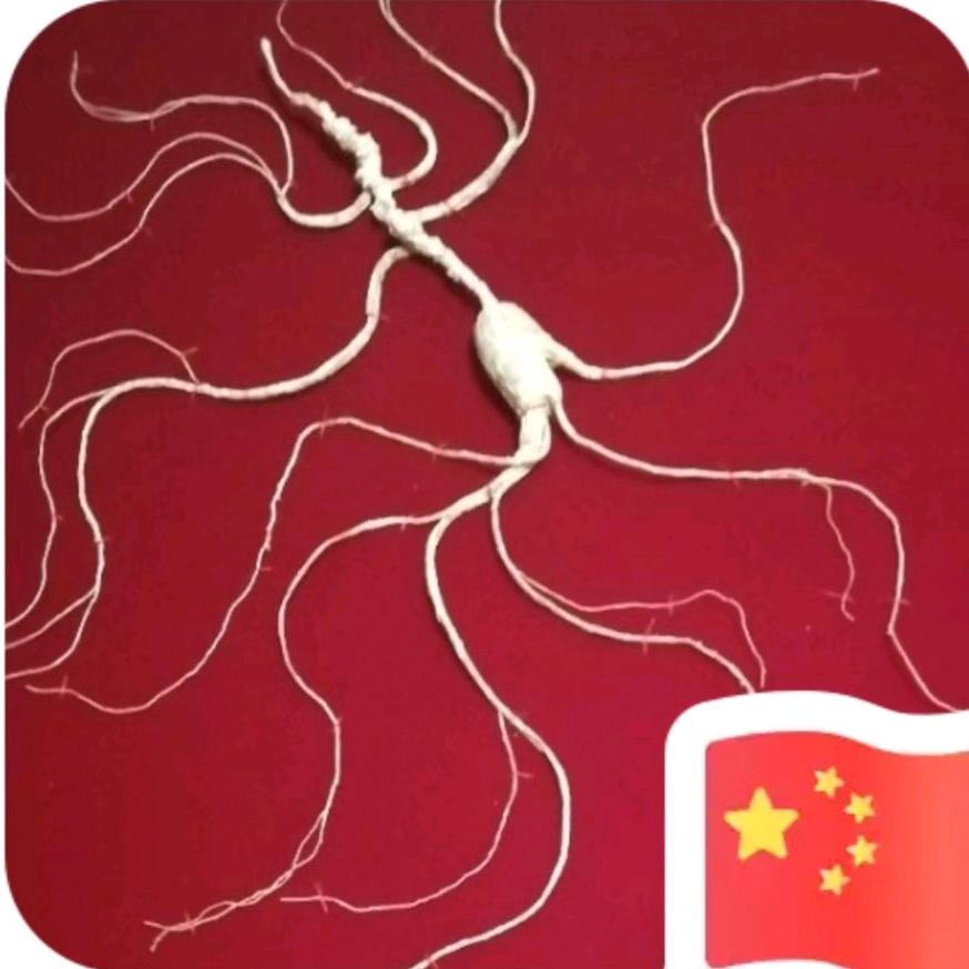 朱亿达说人参（人参鉴别鉴定）（不估价）