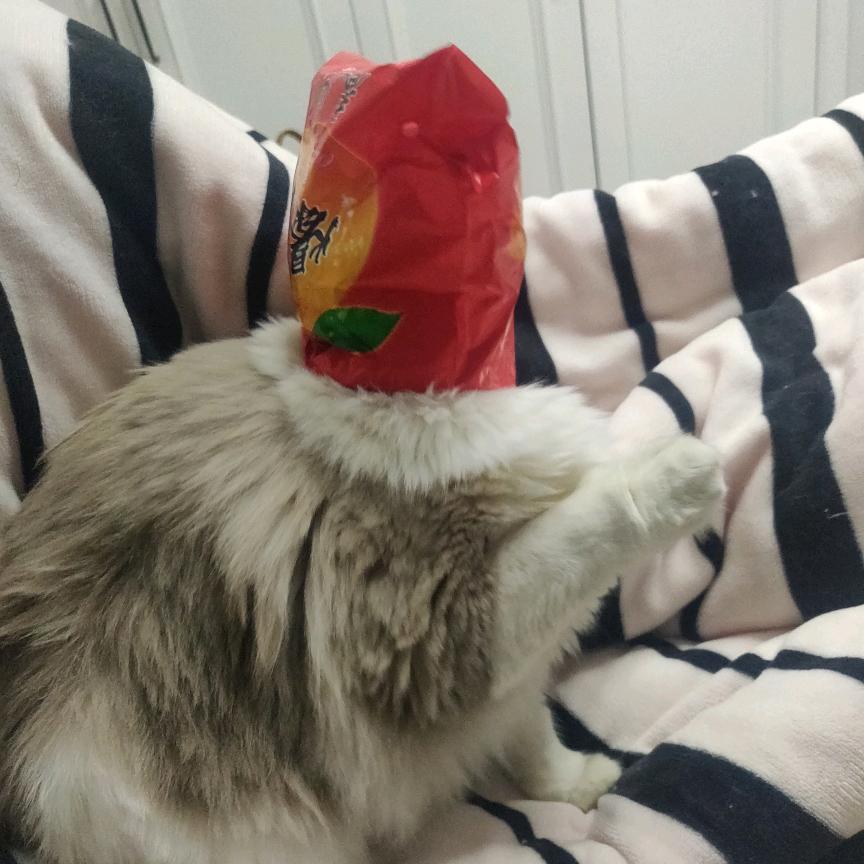丫丫