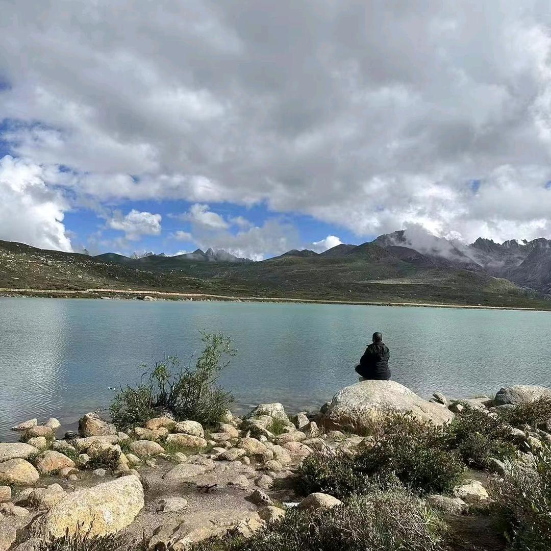 花生秧...王先生