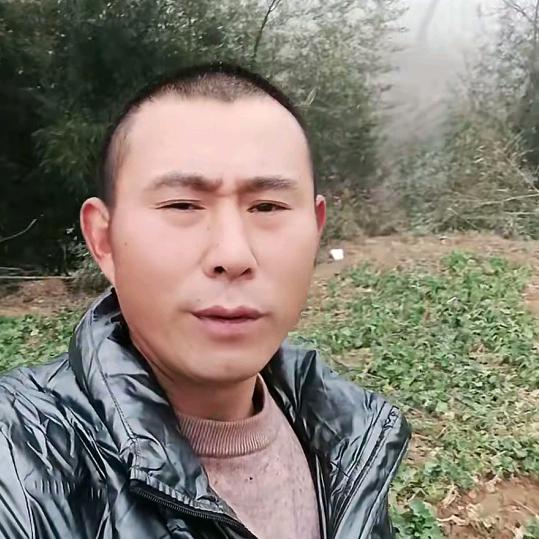 白老七