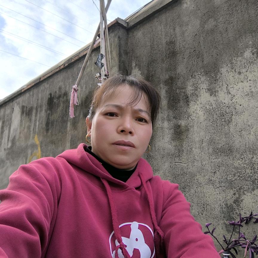 霞姐