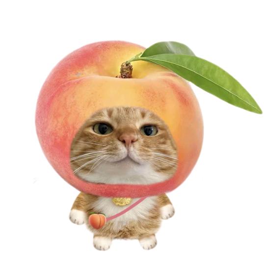 一只努力奋斗的傻狗