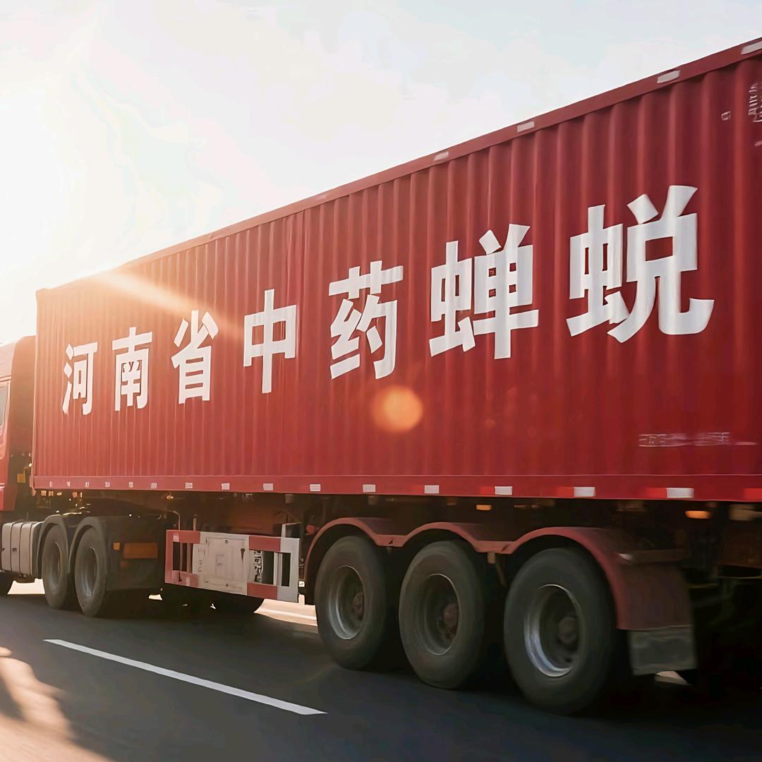 河南省中药蝉蜕