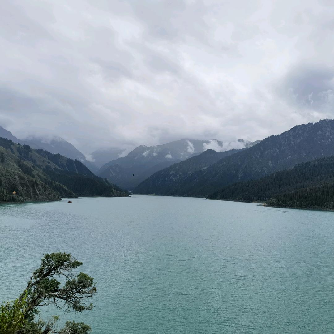 友情出演你的故事ァ