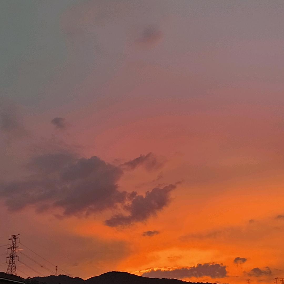 大海啊大海