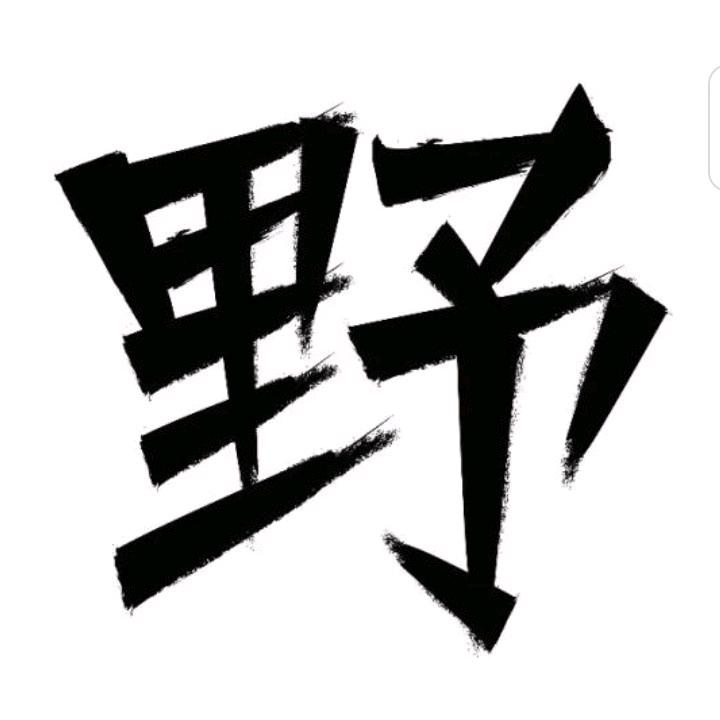 爱老虎游