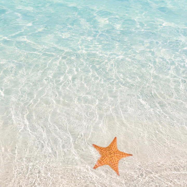 maoovo（三角洲行动）