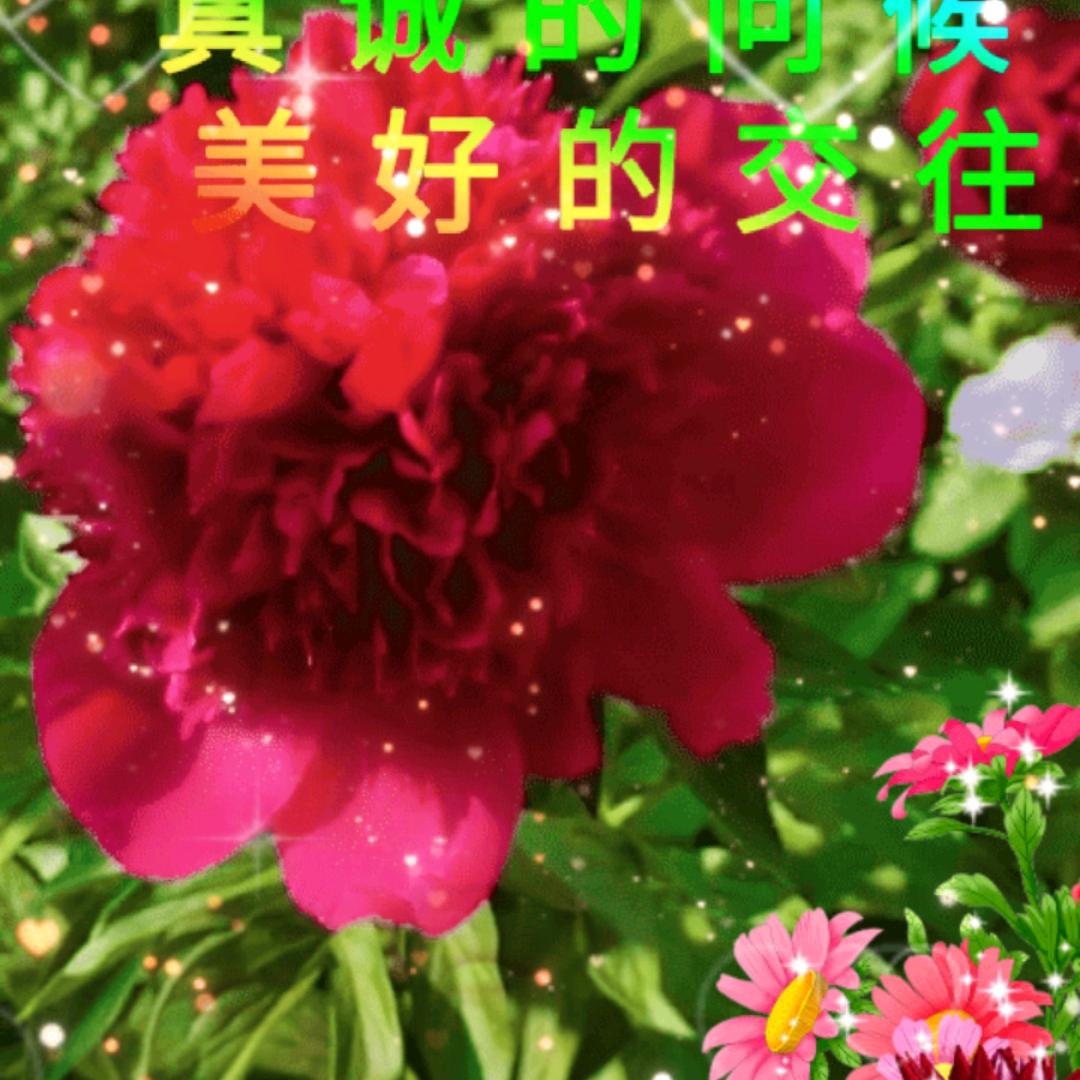 曾经拥有