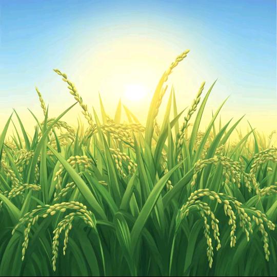 ￥俗￥子￥爱￥财￥