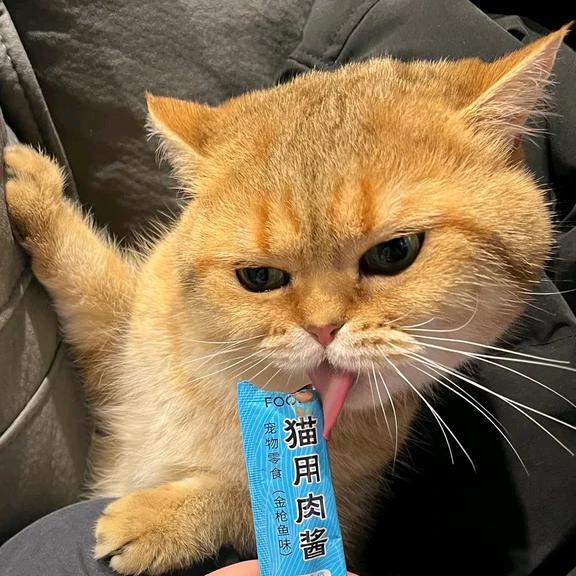 小灰灰