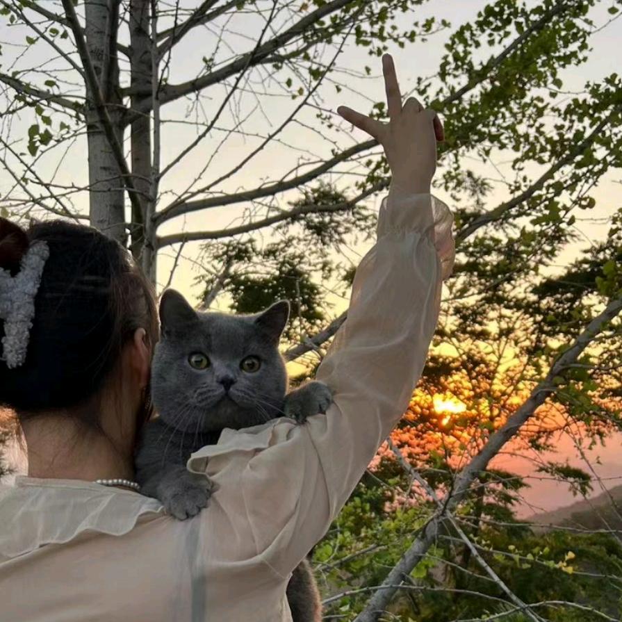 一条豆豆（接西安上门喂养）