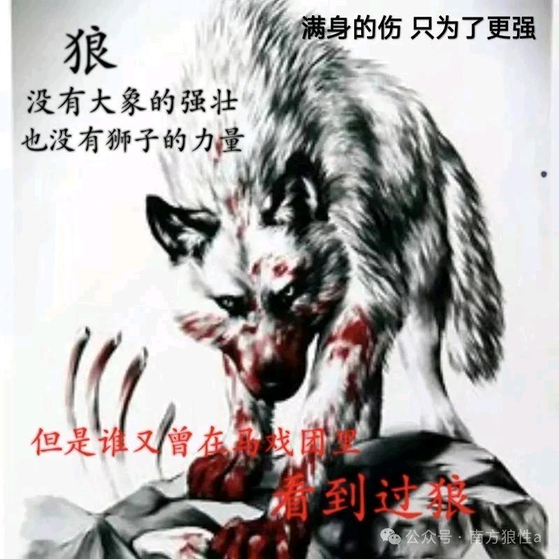 ＠@~~ 《情深缘芬却》  ~~
