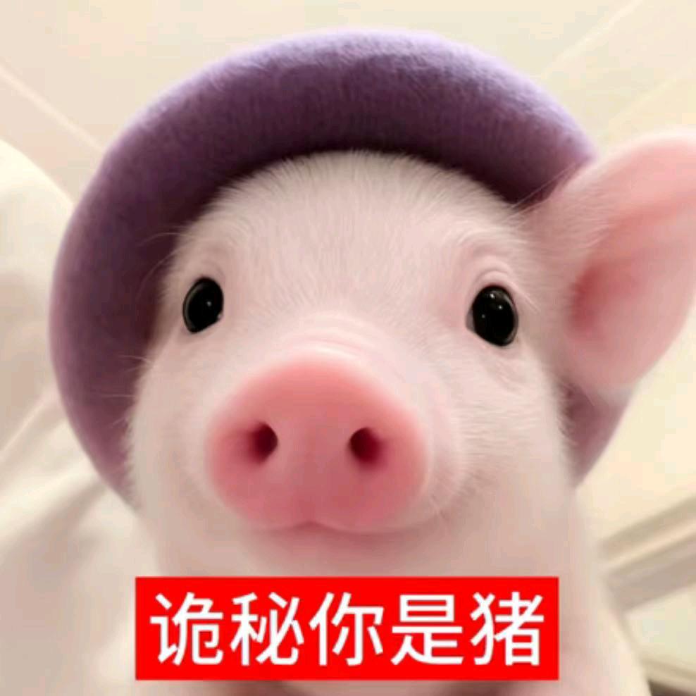 欣欣猪