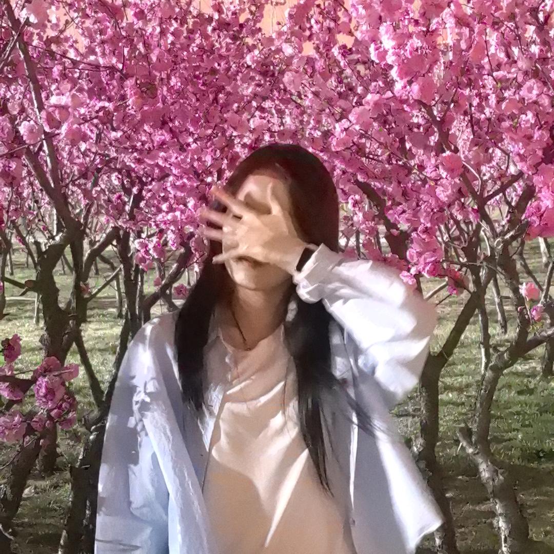 笔谈蜃楼🎐