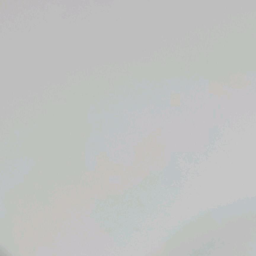 手捧星辰