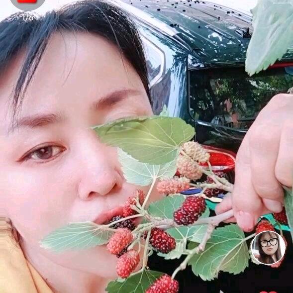 八零后单亲妈妈（陈）