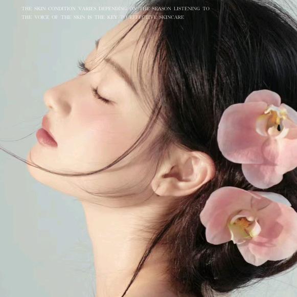 芳芳WF