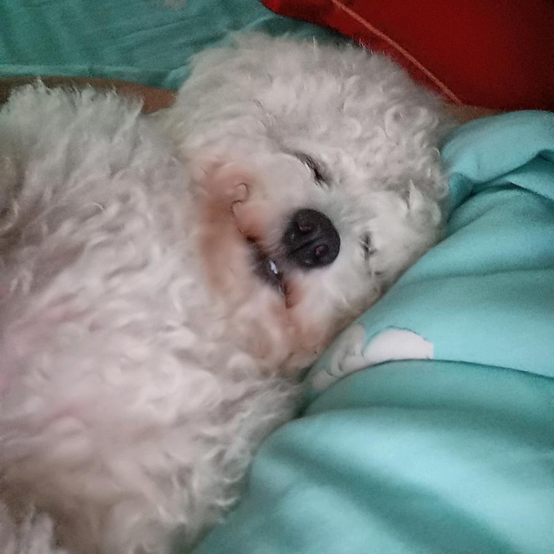小熊🐻