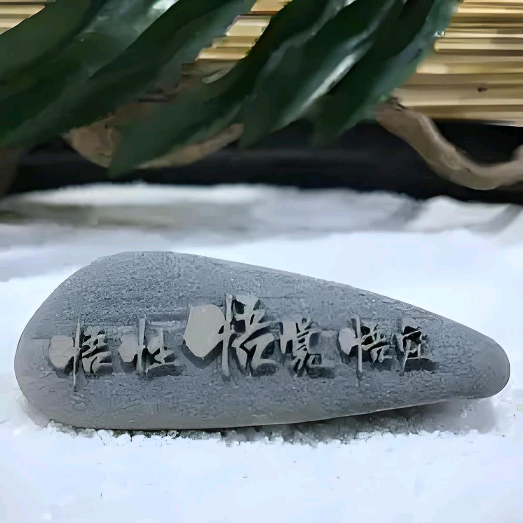 静悟者