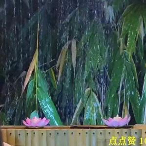 小艾雨声助眠（收徒）