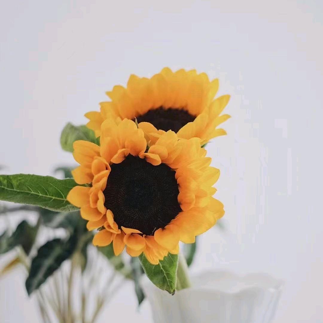 小胖