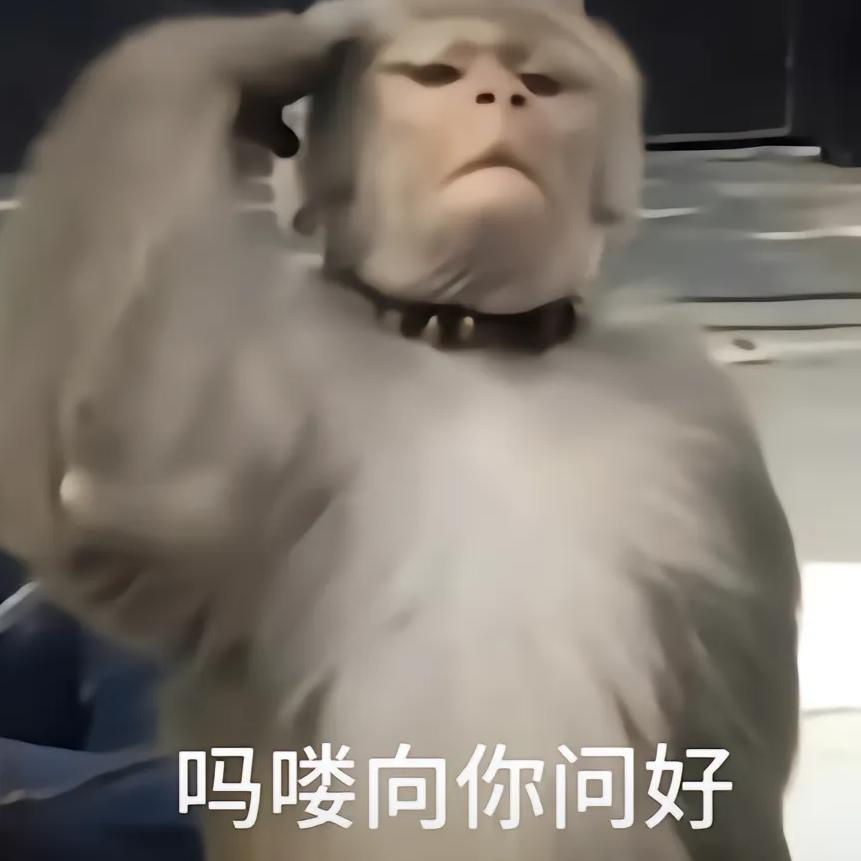 忘川秋酷