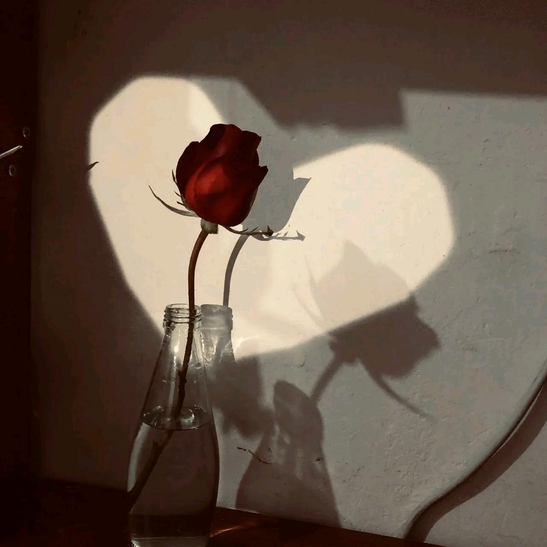 尔🖐🏻🐟丷籽