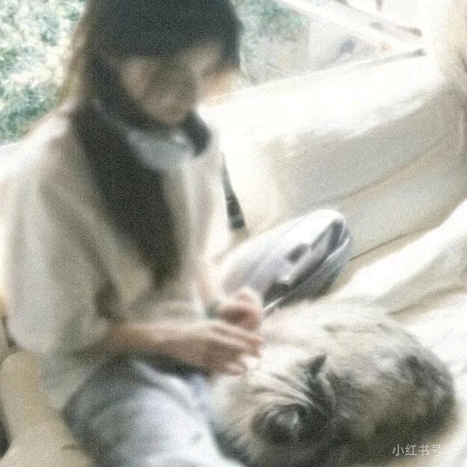 旧林